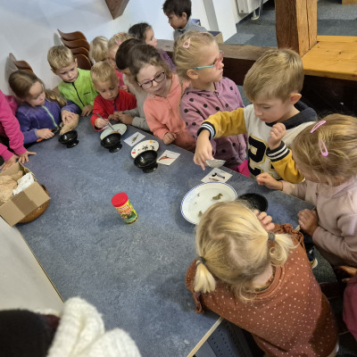 Z edukačn&iacute;ho programu V&iacute;tejte v ptač&iacute; ř&iacute;&scaron;i